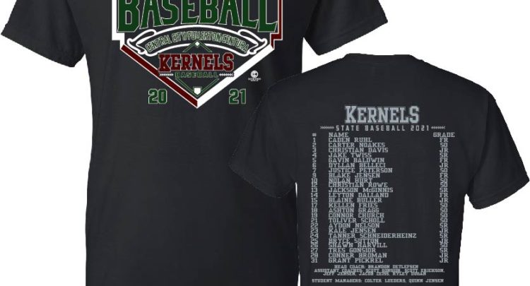 State Baseball Playoffs T-Shirt Design - 2431